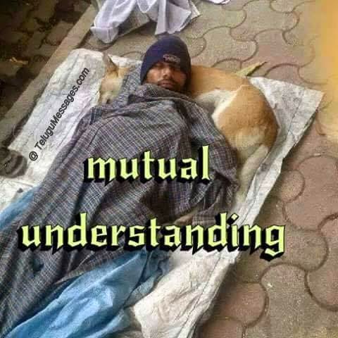 Funny Mutual Understanding Quotes - Innocent Human &Trust 