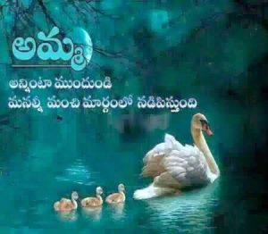 Wonderful Mother Quote in Telugu