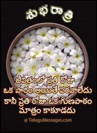Telugu Good Night Quote on Life
