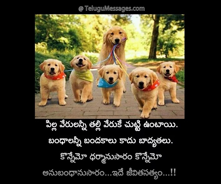 Telugu Quotes on Mothers Love