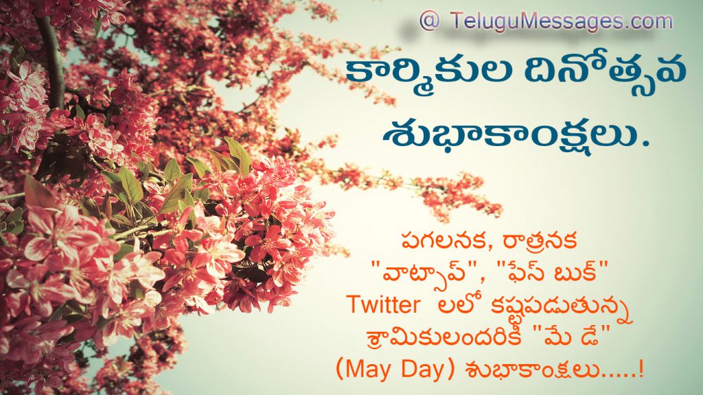 Funny May Day Wishes in Telugu