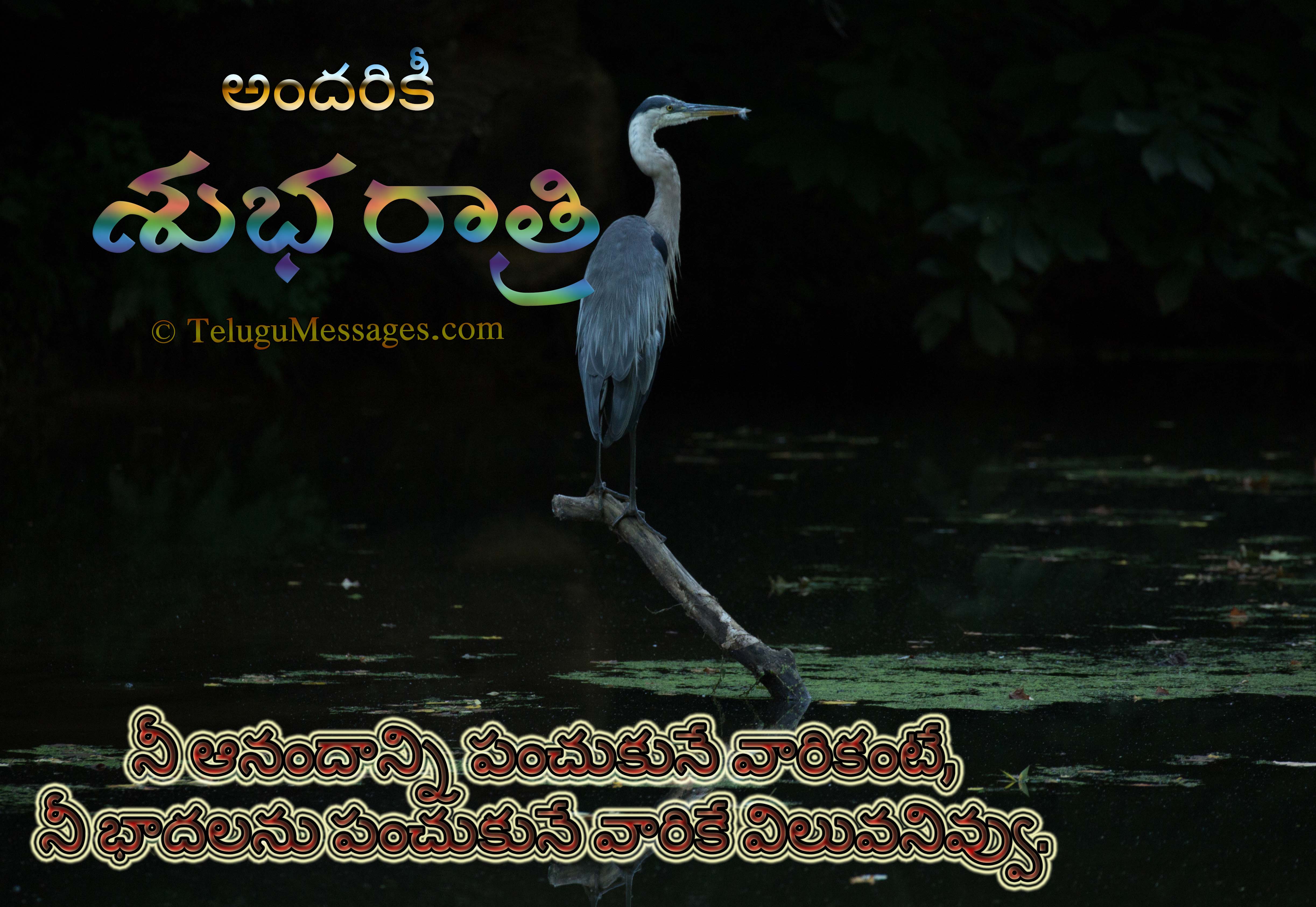 Telugu Motivational Good Night Quote
