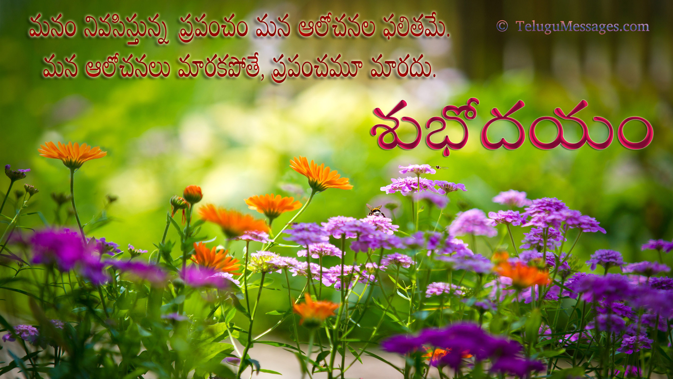 Telugu Good Morning Hd Greetings For Free Download Good Morning
