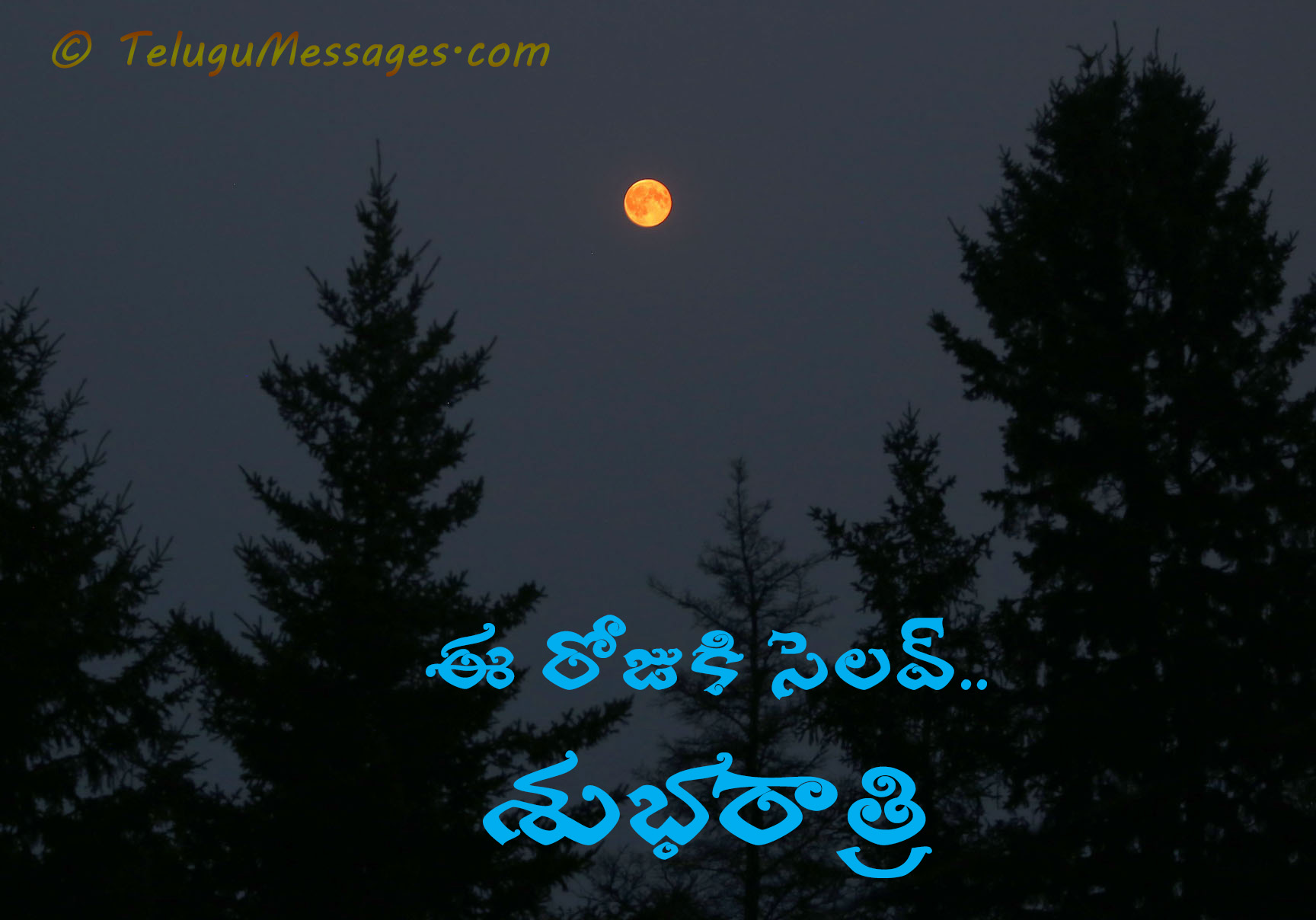 Good Night Telugu Greeting - Bye for the day.